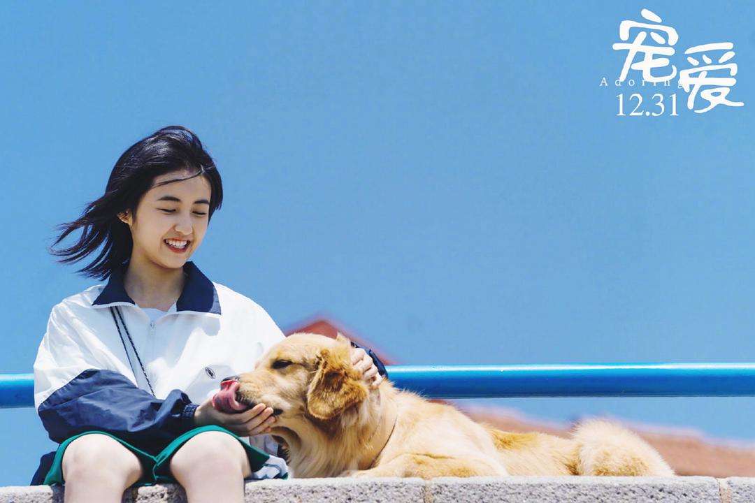 ����Ȧ������һ�仰�����ӵ�������룬��Ů�������ӷ�